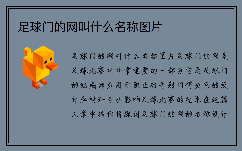 足球门的网叫什么名称图片