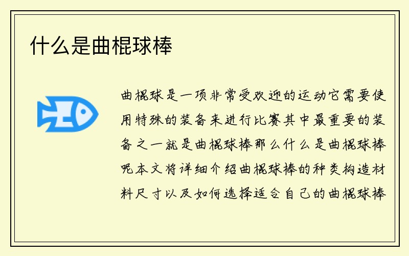 什么是曲棍球棒