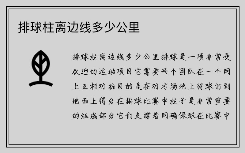 排球柱离边线多少公里