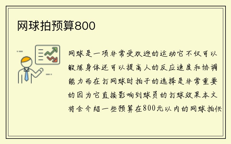 网球拍预算800