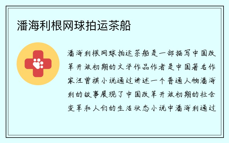 潘海利根网球拍运茶船