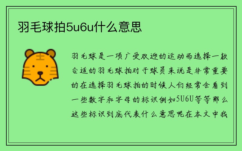 羽毛球拍5u6u什么意思